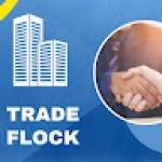 Trade flock Profile Picture
