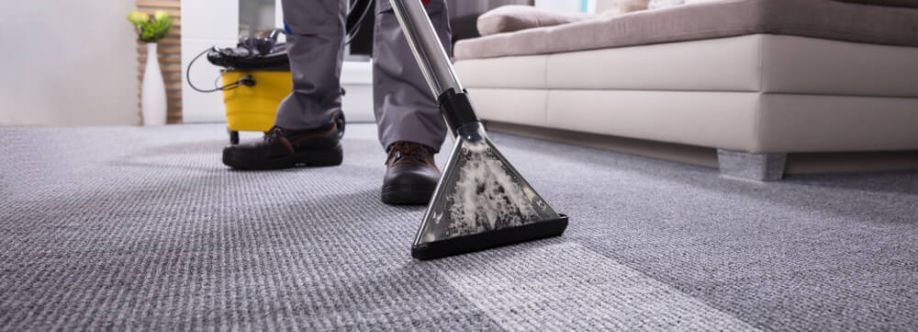 Purify Your Environment: Carpet Cleaning for Better Air Quality