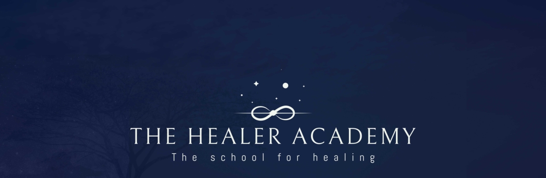 The Healer Academy Cover Image