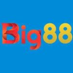 Big88 Sacom