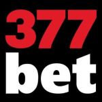 377bet login