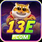 13E COM