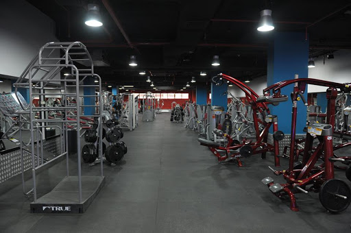 Power Gym