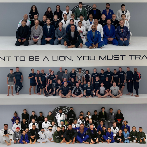 Logic Jiu Jitsu Club