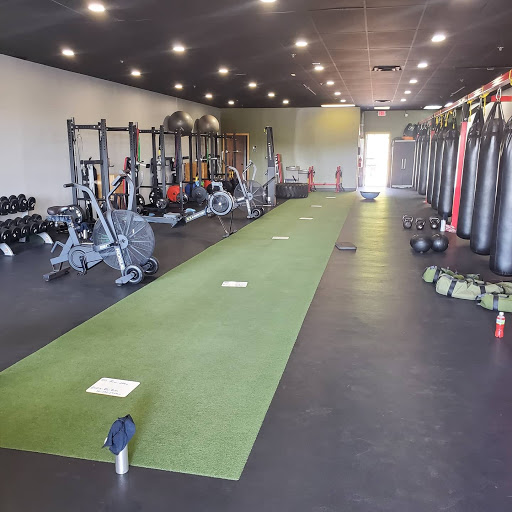 The Training Ground