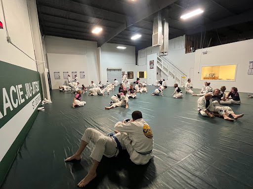 Gracie Jiu-Jitsu (St. George)