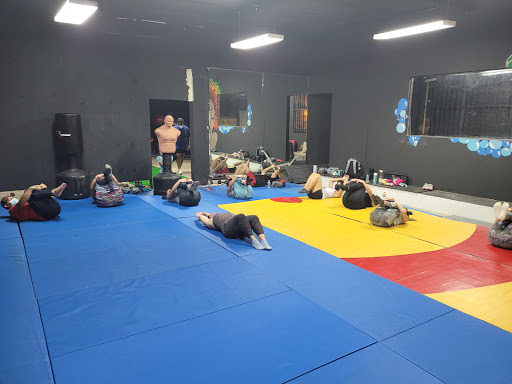 Fighting Fitness Club Crosstraining  Kickboxing  Jiu Jitsu- Toa Baja
