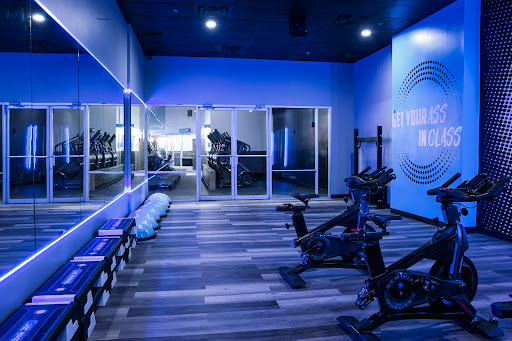 Amped Fitness (Carrollwood)
