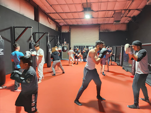 Sinister Boxing MMA Academy