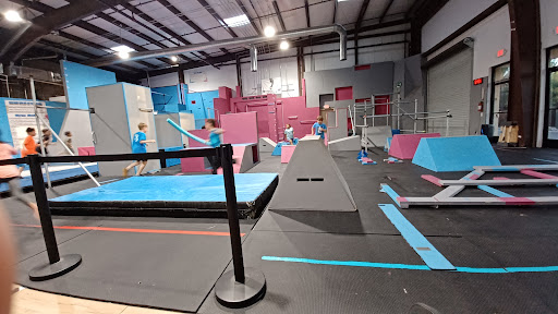 Freedom in Motion Parkour Gym