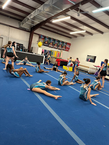 Top Notch Gymnastics Inc