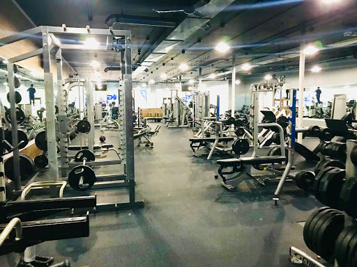 Gym Addict Fitness