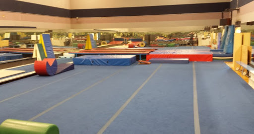 Gym Tech Cheer