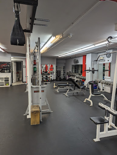 Evolution Fitness