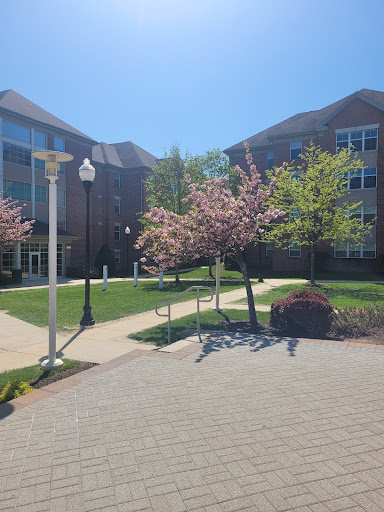 Stevenson University  Owings Mills Gym