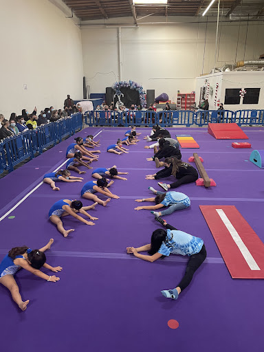 Majestic gymnastics