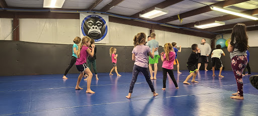 Chango Brazilian Jiu Jitsu