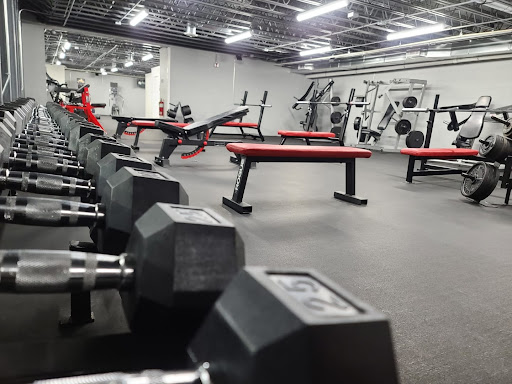 Vitruvian Gym