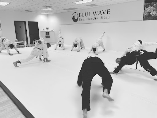 Blue Wave Brazilian Jiu Jitsu