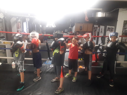 A-Square Fight Club (Boxing Gym)