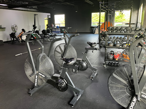 Genesis Barbell