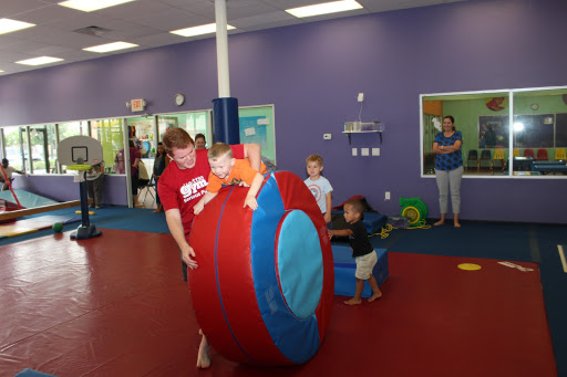 The Little Gym of Spring
