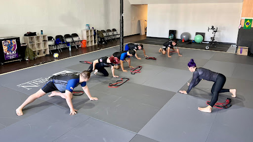 Academy of CAMpions Jiu Jitsu