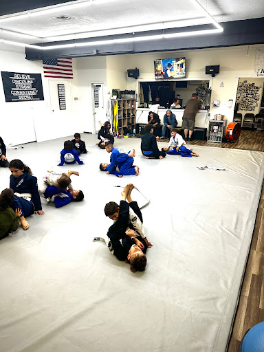The Jiu Jitsu Training Institute