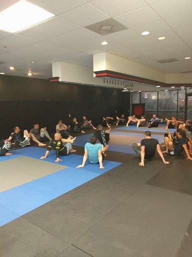 Ares BRAZILIAN JIU-JITSU