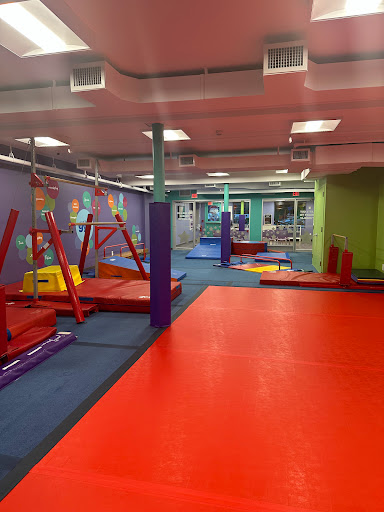 The Little Gym of Lynbrook