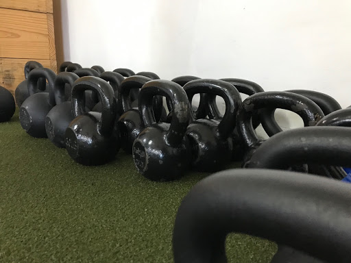 Fitbodies