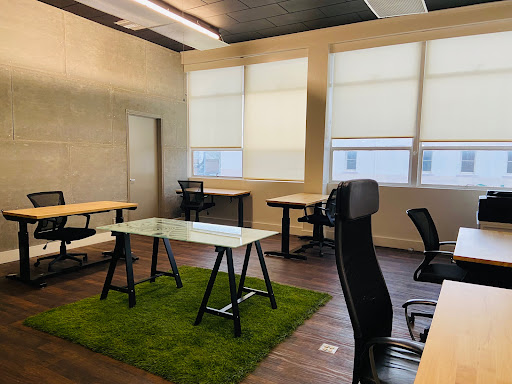 Mesh Cowork