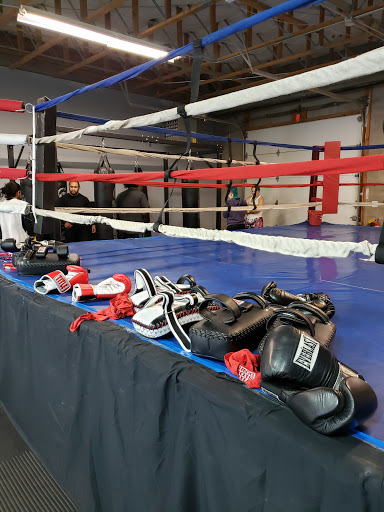 The Institute of Mixed Martial Arts