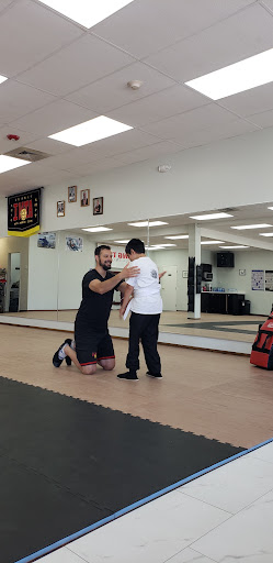 Wing Tsun Martial Arts