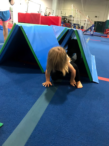 Tidewater Gymnastics Academy