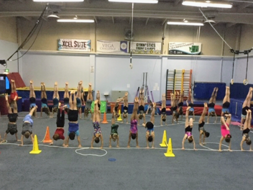 Vancouver Elite Gymnastics Academy VEGA