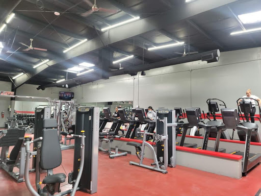 Horizon Bar Fitness
