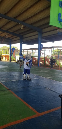 Cancha VR2