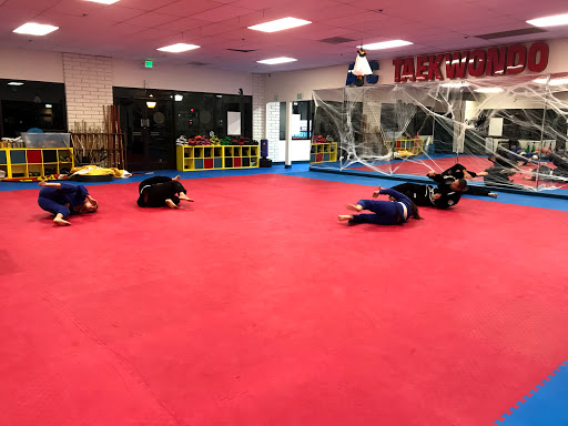Prisma Brazilian Jiu-Jitsu by Leandro Vieira