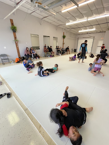 Free World Jiu Jitsu