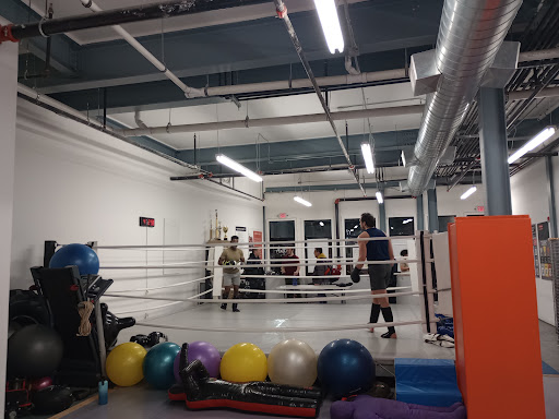 TAM Endurance MMA