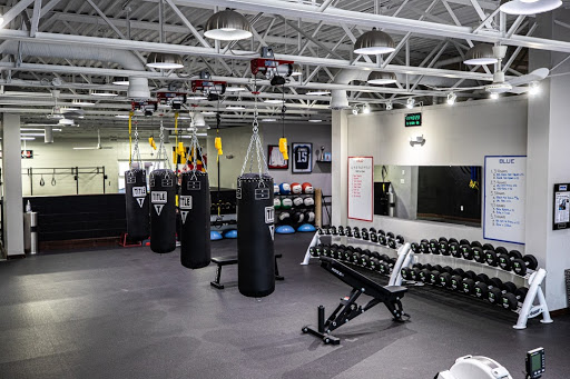 FORZE ATHLETE