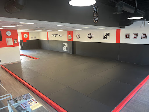 Dedicated jiu-jitsu