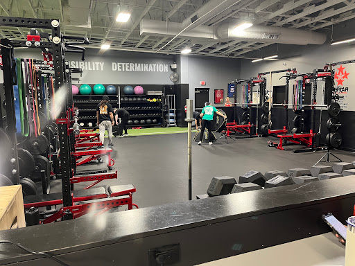 D1 Training Gilbert