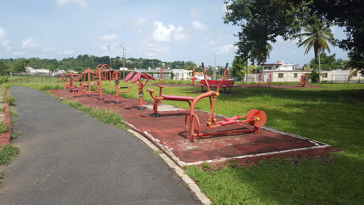 Gimnasio al Aire Libre y Pista