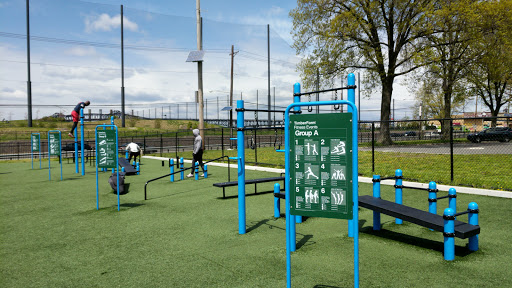TimberForm Fitness - Calisthenics