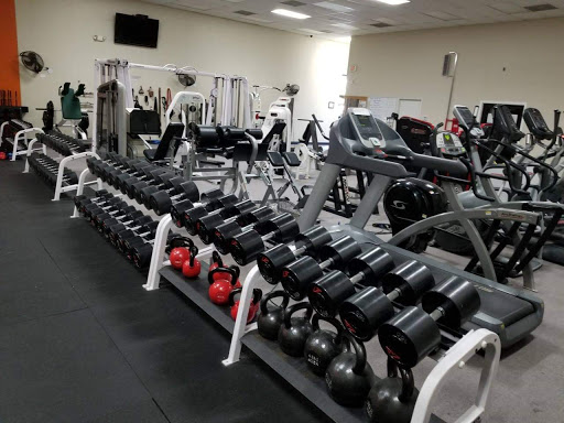 The Workout Pro