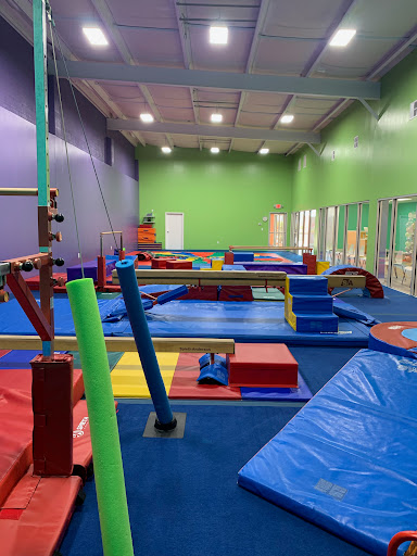 The Little Gym of Greenville