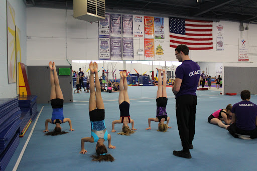 Viking Gymnastics & Dance