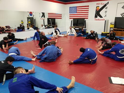 Northbrook Jiu Jitsu/Gracie Allegiance/R-TAM jiu jitsu/Redzovic Jiu Jitsu